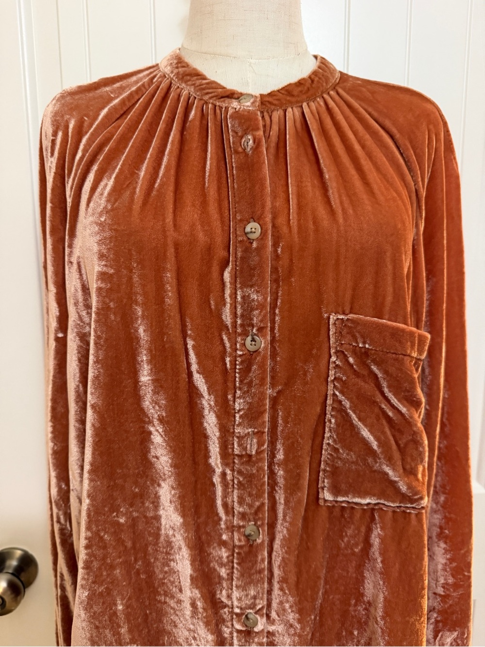 Pilcro Velvet Button-Front Blouse in Burnt Orange XL - Picture 6 of 16